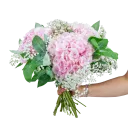 bouquet of hydrangeas